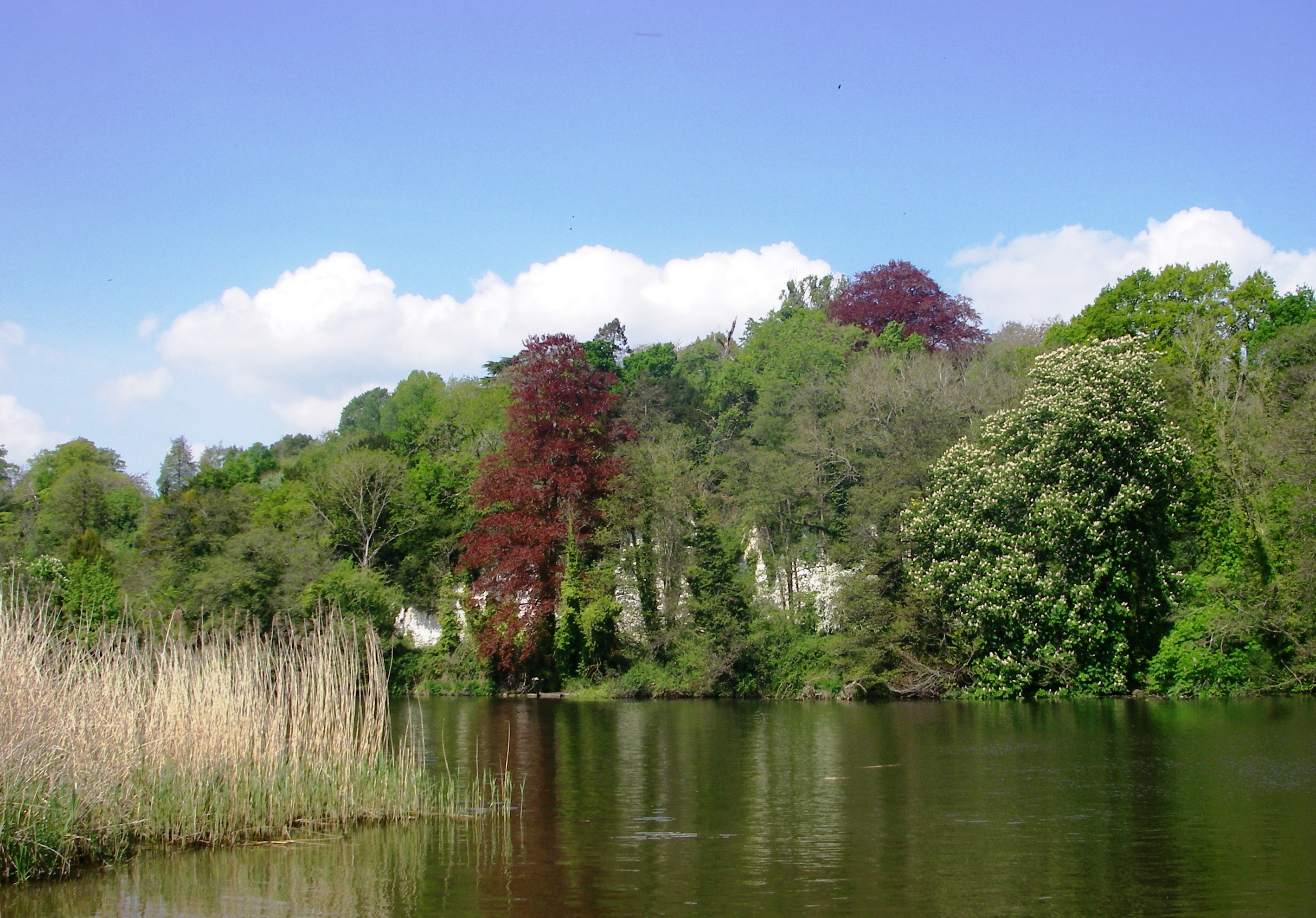 Railways and Waterways Walk Stage 9: Marlow to Henley